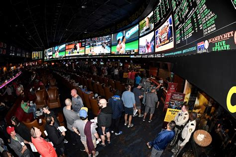 Legal Nevada Online Sports Betting